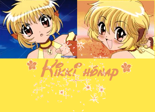 Vadmacskakommand avagy Tokio Mew Mew Power